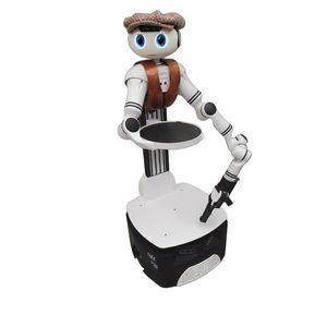 Lieferroboter für Nahrungsmittel
