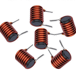 Magnetinduktor 1