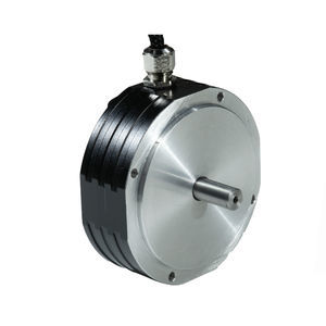 bürstenloser Motor 1