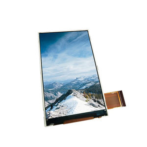 Displaymodul / TFT LCD