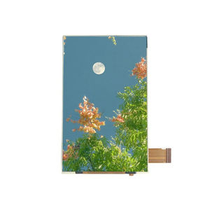Displaymodul / TFT LCD
