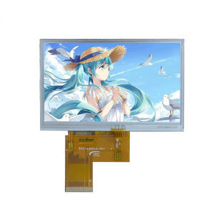 Displaymodul / TFT LCD