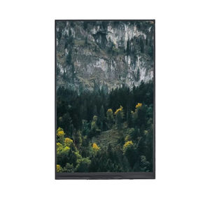 Displaymodul / TFT LCD