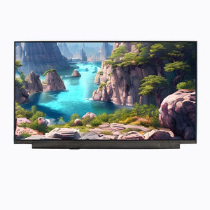 Displaymodul / TFT LCD