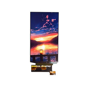 Displaymodul mit kapazitivem Touchscreen