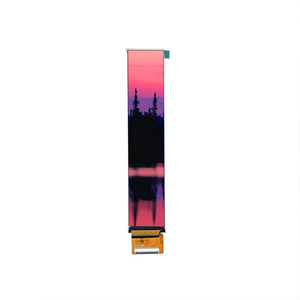 Displaymodul / TFT LCD