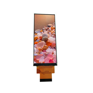Displaymodul / TFT LCD