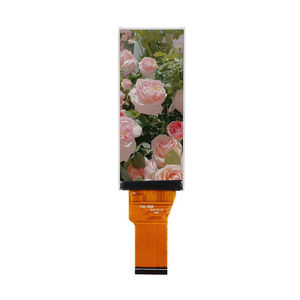 Displaymodul / TFT LCD