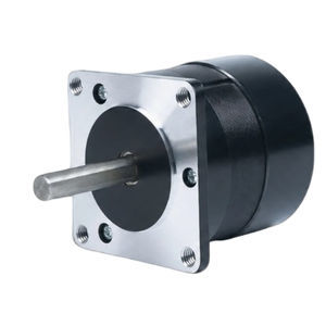 bürstenloser Motor