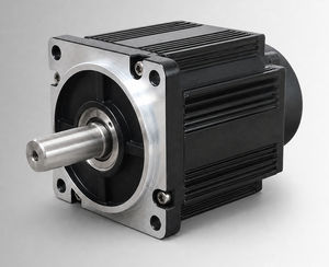 bürstenloser Motor 1