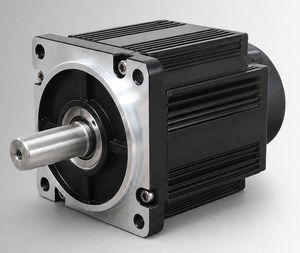 bürstenloser Motor 1