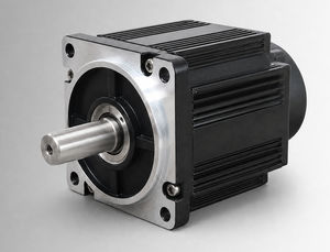 bürstenloser Motor 1
