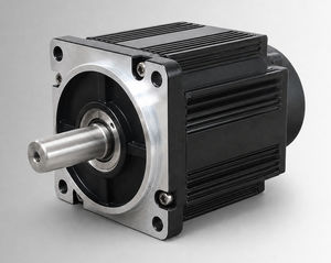bürstenloser Motor 1