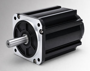 bürstenloser Motor 1