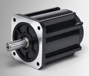 bürstenloser Motor 1