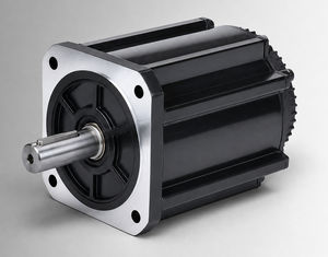 bürstenloser Motor 1