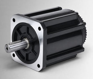 bürstenloser Motor 1