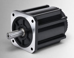 bürstenloser Motor 1