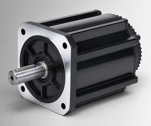 bürstenloser Motor 1