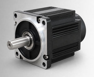 BLDC-Motor 1