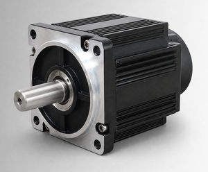 bürstenloser Motor 1