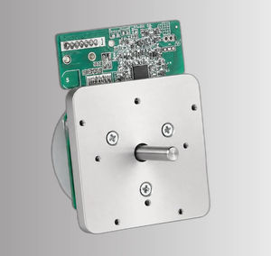 bürstenloser Motor 1