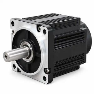 bürstenloser Motor 1