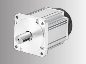 AC-Servomotor 1