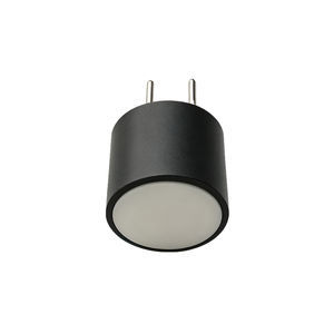 zylinderförmiger Ultraschallwandler
