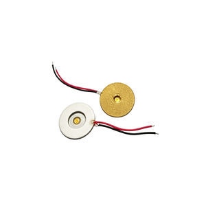 Platten-Ultraschallwandler