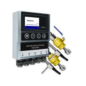 Ultraschall-Laufzeit-Durchflussmesser 1