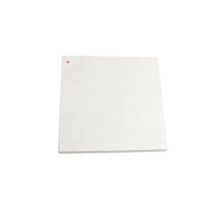 Piezo-Ceramic 1