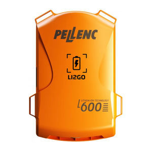 Lithium-Batterie