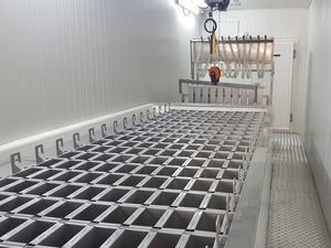Block-Eisproduktionsmaschine 1