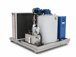 Eisproduktionsmaschine in Flockenform 1