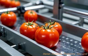 Sortieranlage für die Lebensmittelindustrie