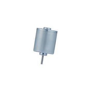 bürstenloser Motor