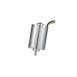 bürstenloser Motor
