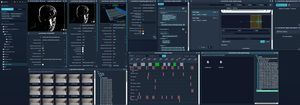Software / Datenerfassungs und -analyse