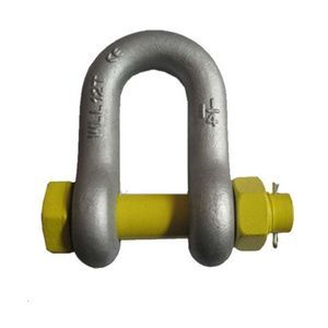 Schäkel zum Heben von Lasten / D 1
