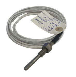 RTD-Temperatursensor 1