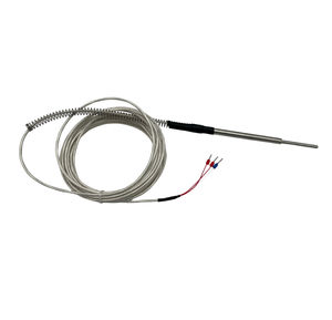 RTD-Temperatursensor 1