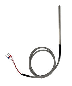 RTD-Temperatursensor 1