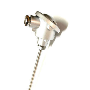 RTD-Temperatursensor 1