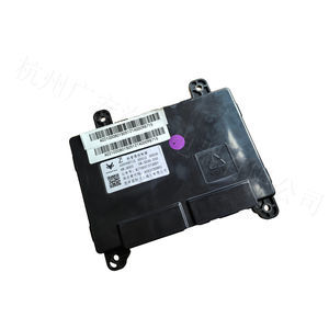 Elektronische Kontrolleinheit / CAN-Bus