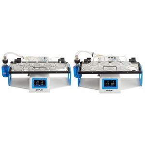 automatische Lackiermaschine