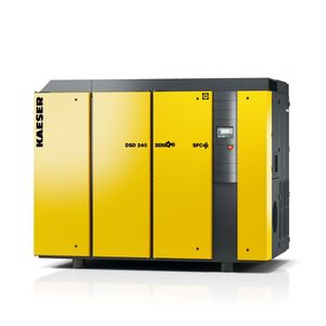 Schraubenkompressor