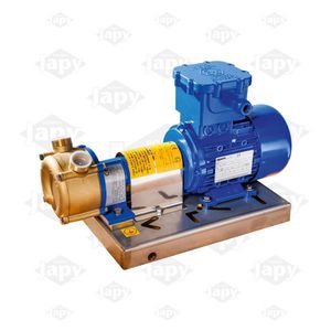 Seitenkanalpumpe 1