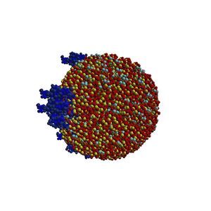 Simulationssoftware 1