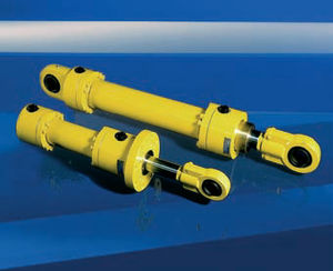 Hydraulikzylinder 1
